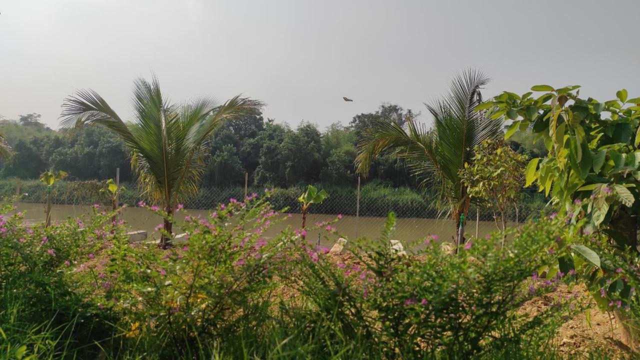 Homestay Dat Viet Каттьєн Екстер'єр фото