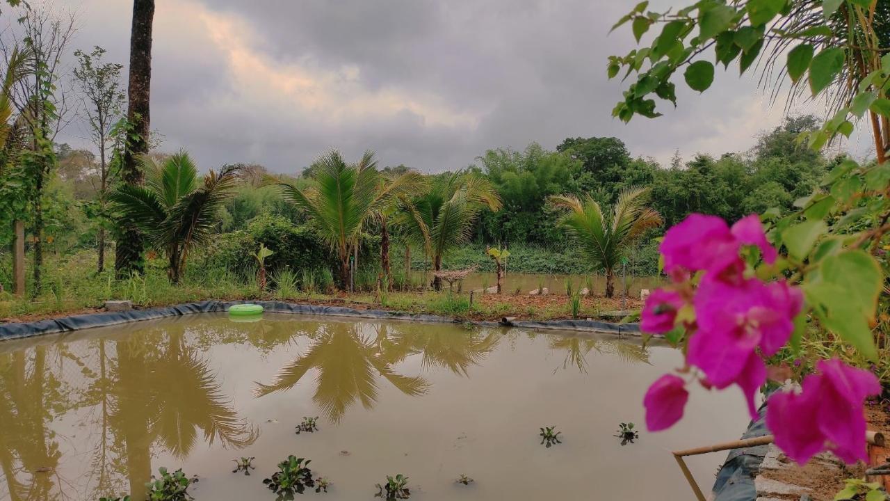 Homestay Dat Viet Каттьєн Екстер'єр фото