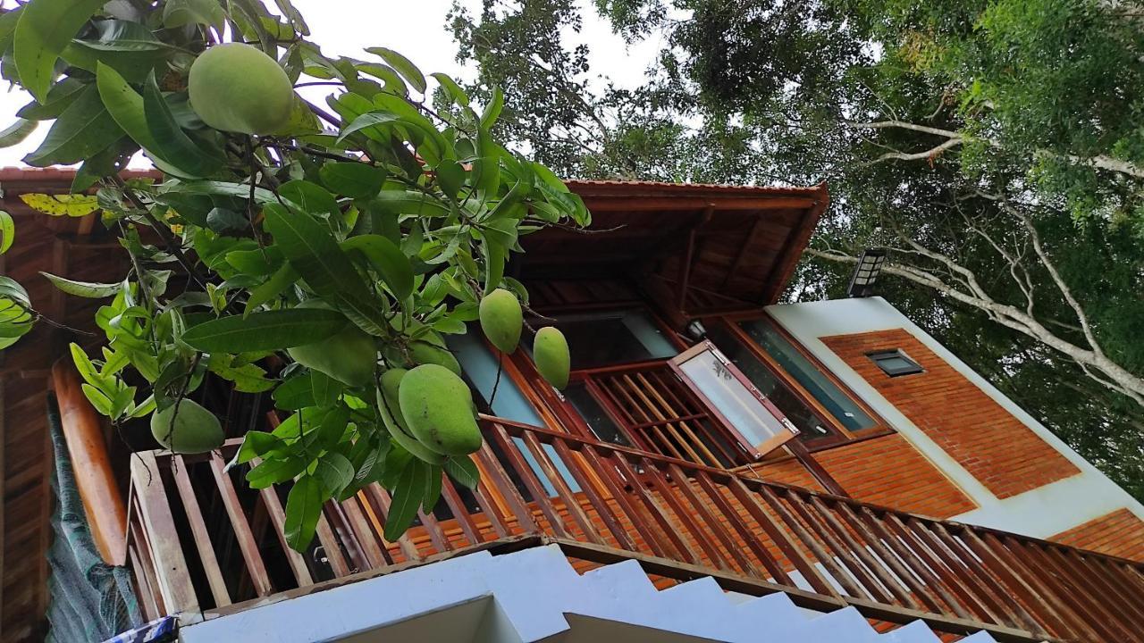 Homestay Dat Viet Каттьєн Екстер'єр фото